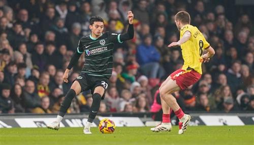 Ultimate Guide to 20 20 Betting Strategies